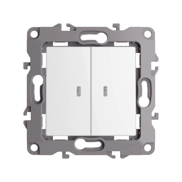 CONMUTADOR DOBLE LUMINOSO/BLANCO S20