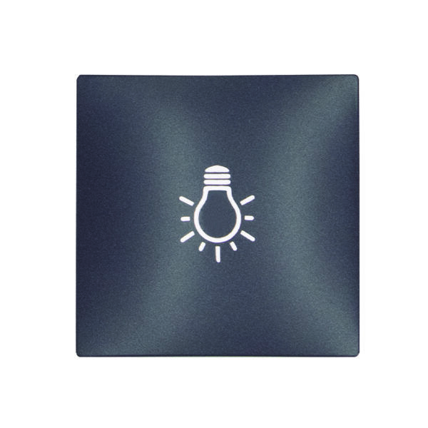 TECLA PULSADOR CON SIMBOLO LUZ /ANTRACITA S30