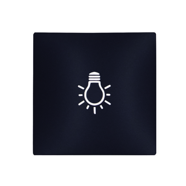 TECLA PULSADOR CON SIMBOLO LUZ /GRAFITO S30