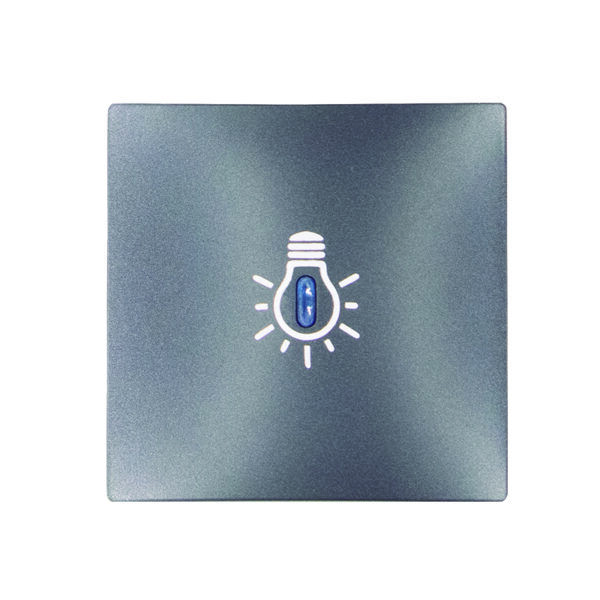 TECLA PULSADOR LUMINOSO C/SIMBOLO LUZ/ALUMINIO S30