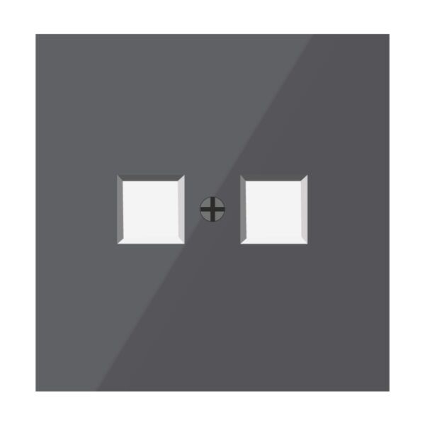 TAPA BASE DOBLE RJ11-RJ45-F.OPT/NEGRO S40 ART