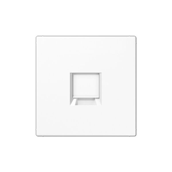 Placa central (a presión) para tomas Modular Jack, Simple, UMA-CAT6A, RADIALL, Panduit, Assmann, Serie LS, blanco alpino