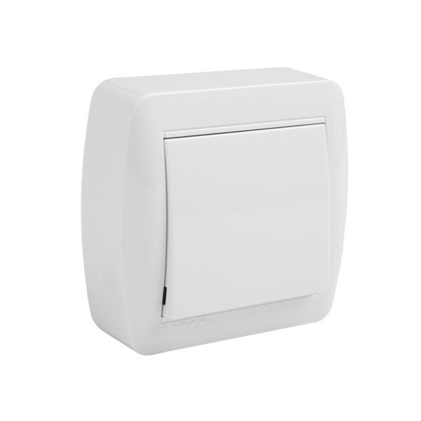 Conmutador / interruptor 10AX 250V~. De superficie.