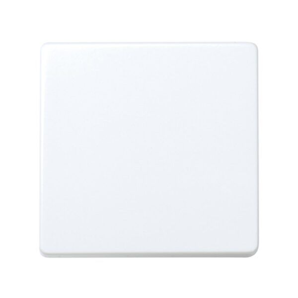 Interruptor unipolar 10 AX 250V~ con sistema de embornamiento rápido blanco Simon 27 Play