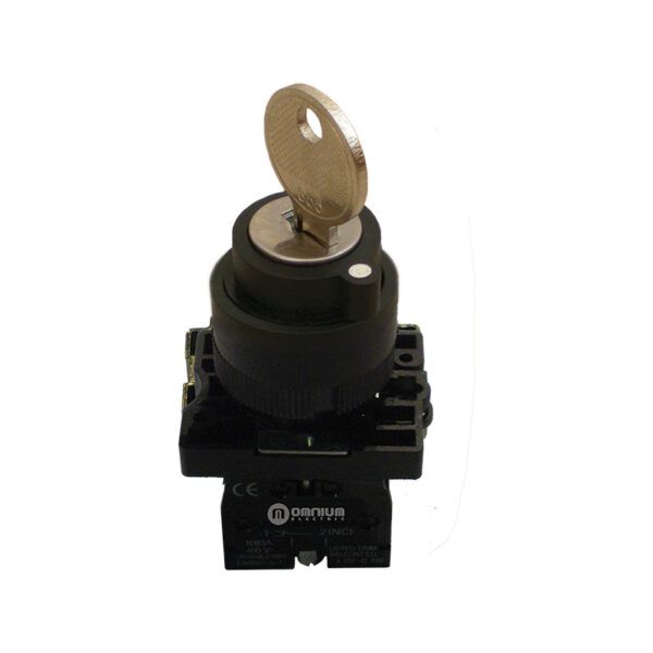 Interruptor IP65 (con llave), selector 2 posiciones, montado con 1 x NO