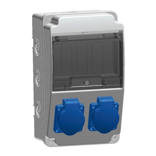 Caja de tomas de corriente 6 módulos IP66 con bases 2 de 16A 2P+T frontales; ABS; libre halogenos